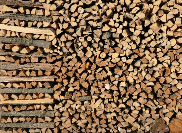 Brennholz ein Meter